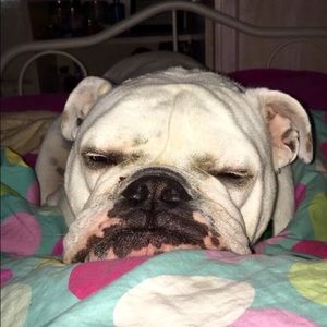 Meet your Posher, Graci