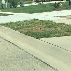 Meet your Posher, Erine