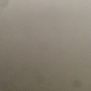 Meet your Posher, Mailia