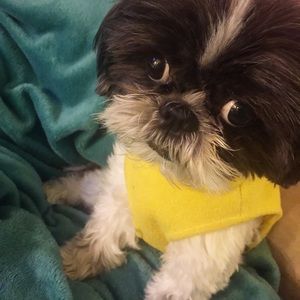 Meet your Posher, Chloe