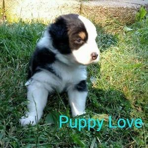 Meet your Posher, Brianne