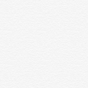 Meet your Posher, Aaleyiah