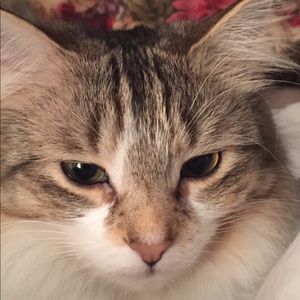 Meet your Posher, Stacey