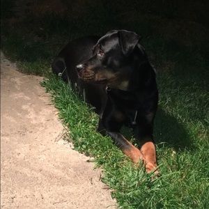 Meet your Posher, Madison