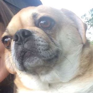 Meet your Posher, Anndrea