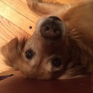 Meet your Posher, Jenna