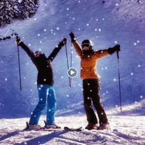 Meet your Posher, Shelly