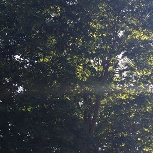 Meet your Posher, Carmen