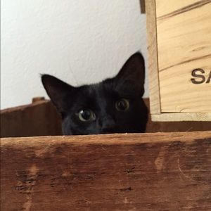 Meet your Posher, Amy