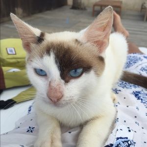 Meet your Posher, Claudia