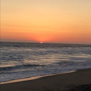 Meet your Posher, Dayna