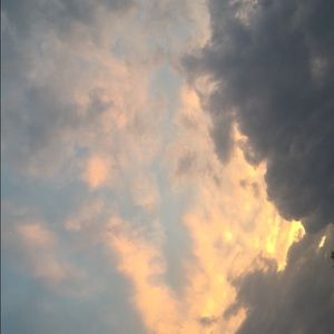 Meet your Posher, Angelina