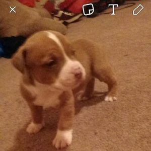 Meet your Posher, Takara