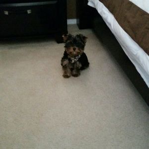 Meet your Posher, Maria