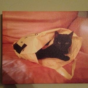 Meet your Posher, Michelle