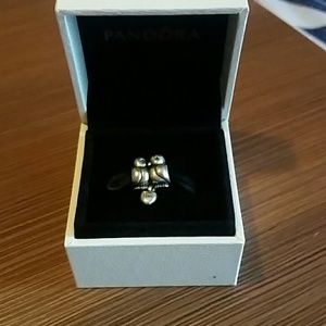 Love Birds Pandora Charm with Box