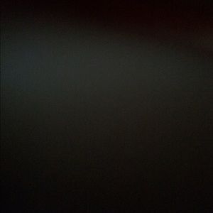 Meet your Posher, Allegra