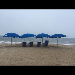 Meet your Posher, Molly