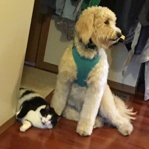 Meet your Posher, Nancy