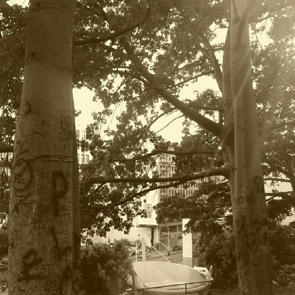 Meet your Posher, Candice