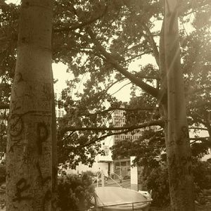 Meet your Posher, Candice