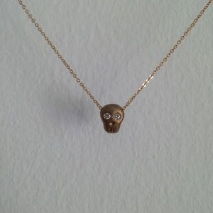 DIMOND skull necklace