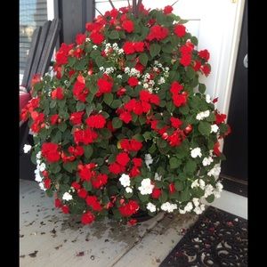 Meet your Posher, Kathy