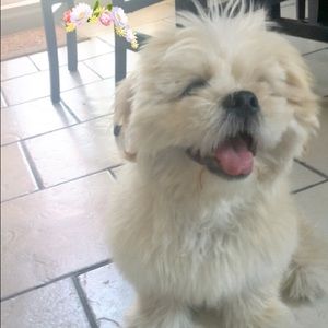 Meet your Posher, Leslie