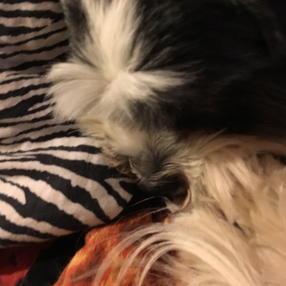 Meet your Posher, Jessica - Picture 1 of 1