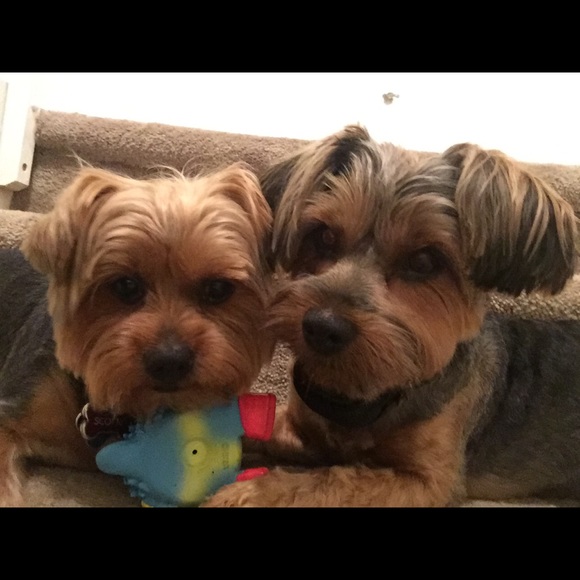 Meet your Posher, Aurora