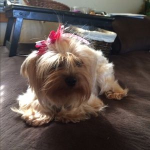 ZOE. JAX. LACY and CRAZY