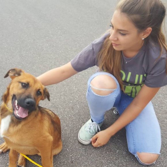 Meet your Posher, Camille - Picture 1 of 1