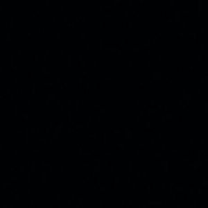 Meet your Posher, E lizabeth