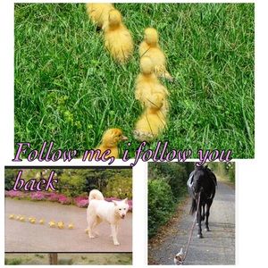 Follow me, i follow you.Share mines, i share yours