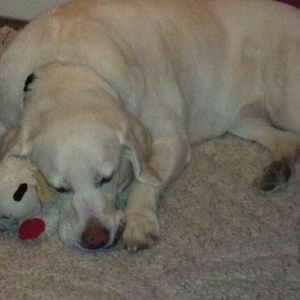 Meet your Posher, Jaycee