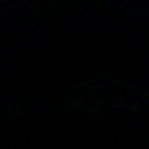 Meet your Posher, Mary jane