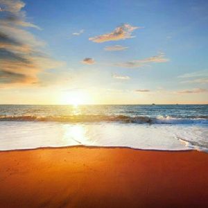 Meet your Posher, Bridgette