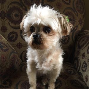 Meet your Posher, Makenna