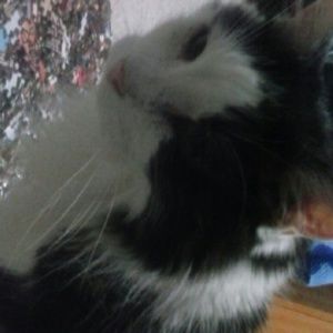 Meet your Posher, Miriam