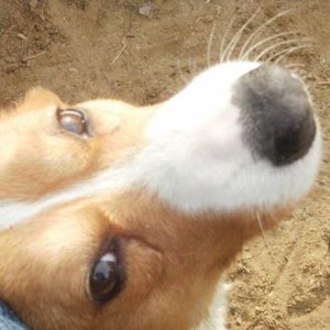 Meet your Posher, Murphy