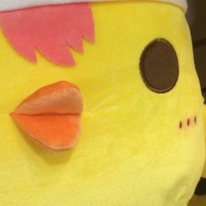 Meet your Posher, Vicky