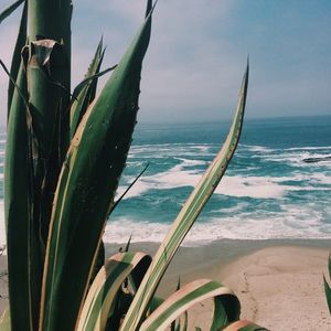 Meet your Posher, Mikinley