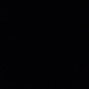 Meet your Posher, Maggie