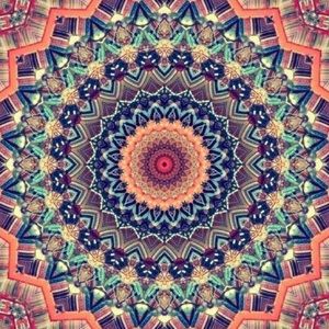 Meet your Posher, Avery