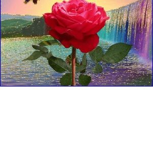 Meet your Posher, Marsha