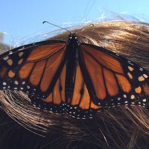 Meet your Posher, Rachel