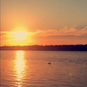 Meet your Posher, Brittnay