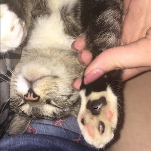 Meet your Posher, Brook