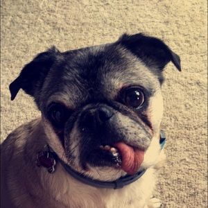 Meet your Posher, Jenee