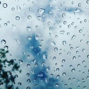 Meet your Posher, Alissa